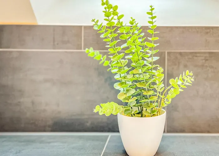 Apartman Baltischer Hof 57